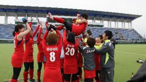 japan-qualify-for-bdo-womens-world-cup-in-argentina.Click to read full article.